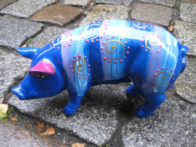 Mini-Schwein_296