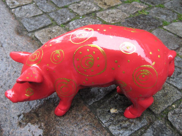 Mini-Schwein_297