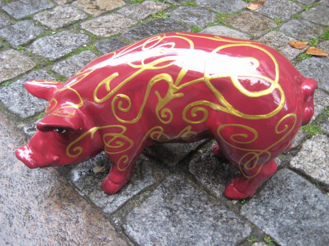 Mini-Schwein_298