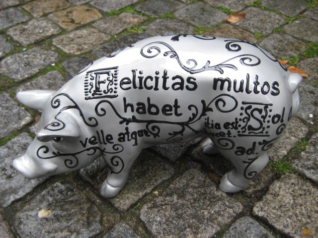 Mini-Schwein_300
