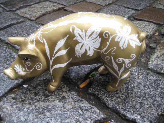 Mini-Schwein_303