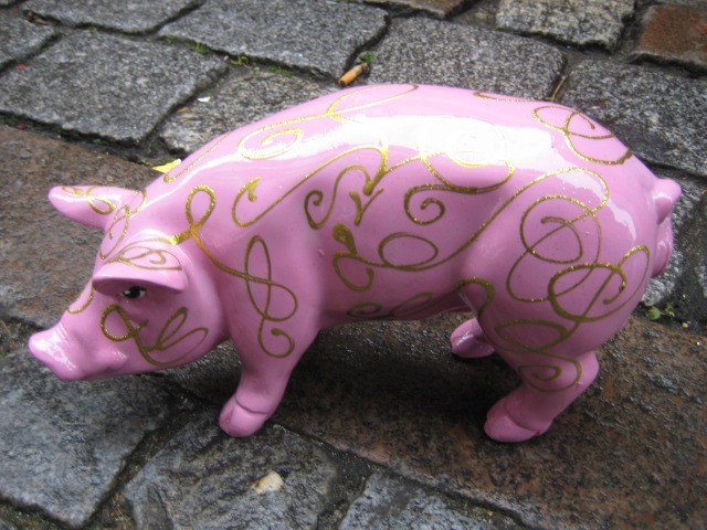 Mini-Schwein_308