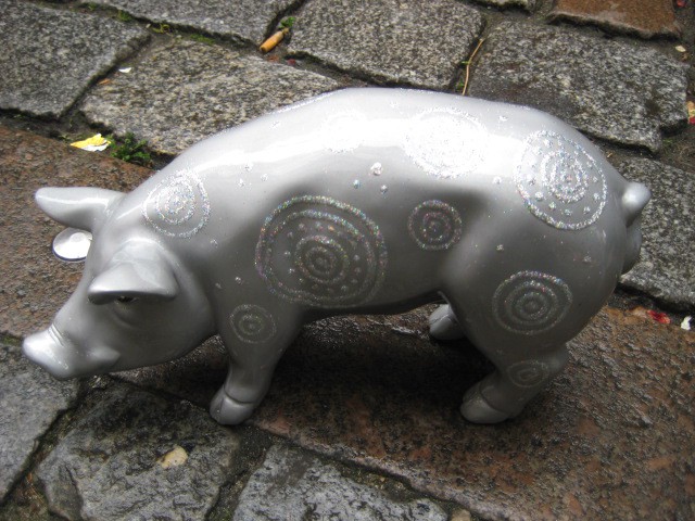Mini-Schwein_309