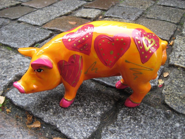 Mini-Schwein_310
