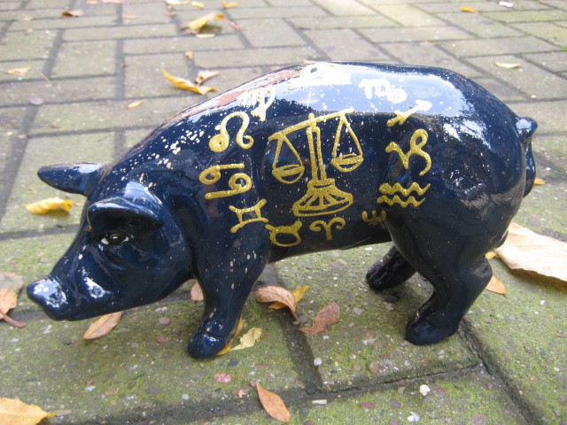 Mini-Schwein_317