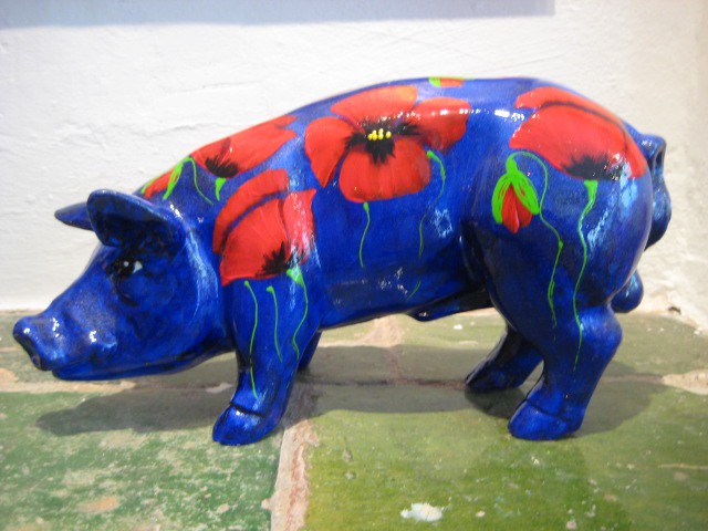 Mini-Schwein_326
