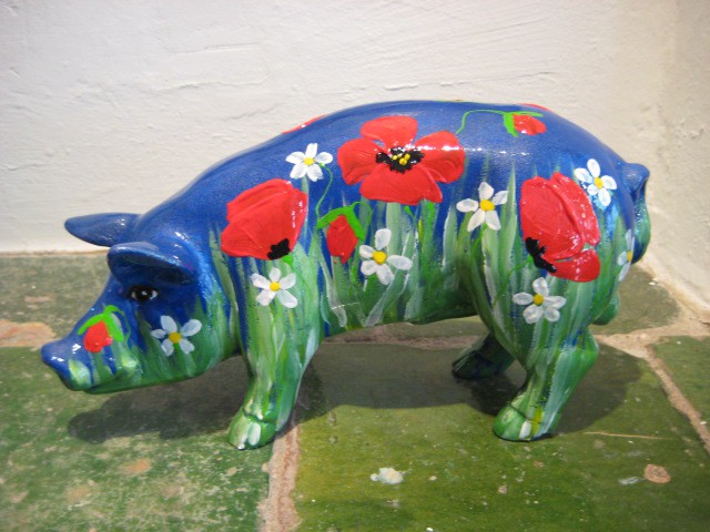 Mini-Schwein_328