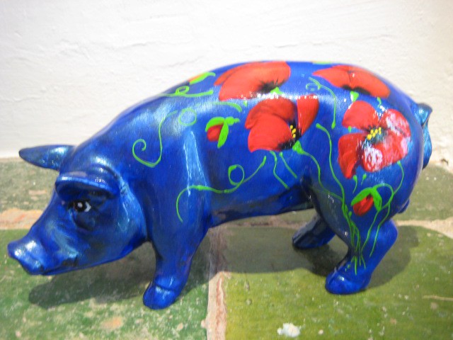 Mini-Schwein_329