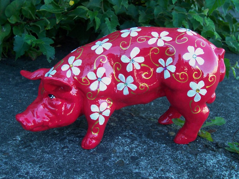 Mini-Schwein_33