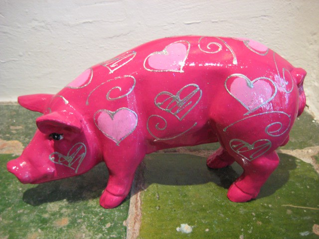 Mini-Schwein_331