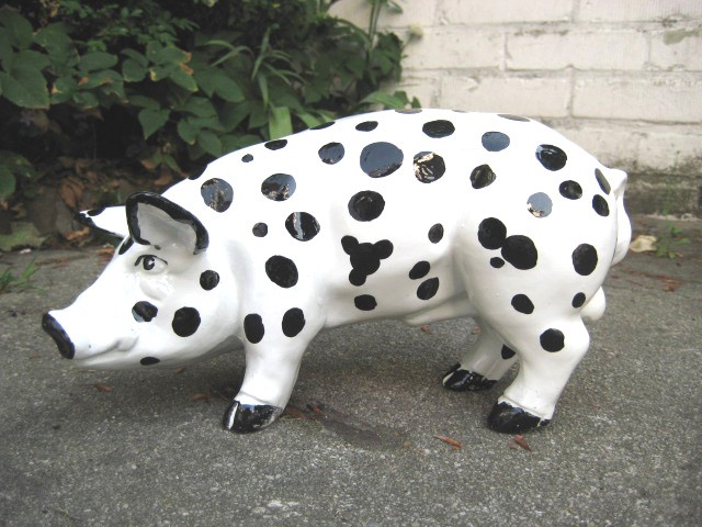Mini-Schwein_337