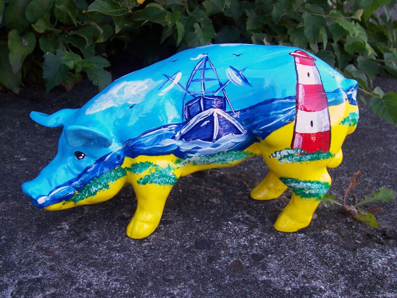 Mini-Schwein_34