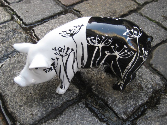 Mini-Schwein_343