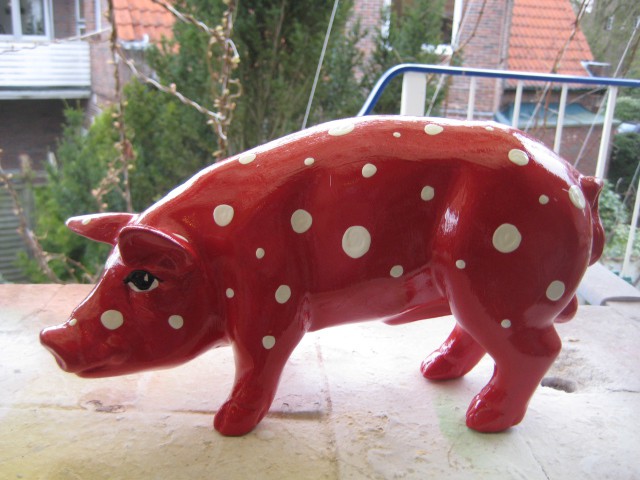 Mini-Schwein_344