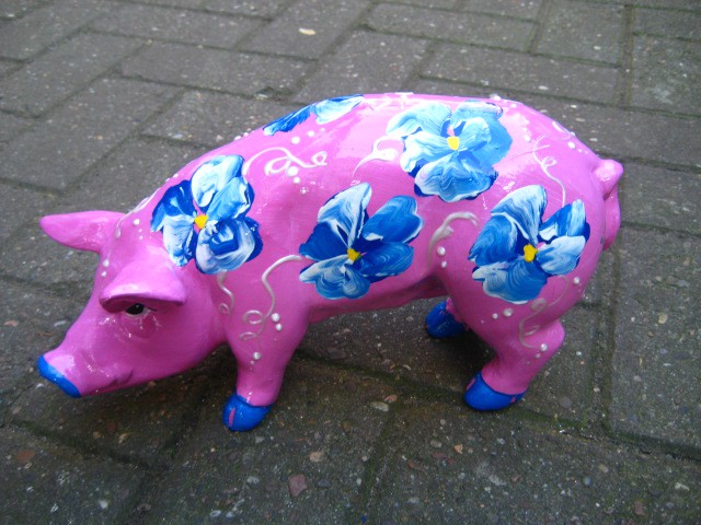 Mini-Schwein_347