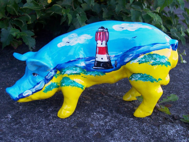 Mini-Schwein_35