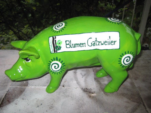 Mini-Schwein_358