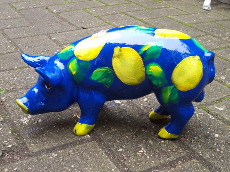 Mini-Schwein_360