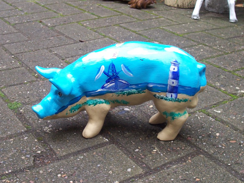 Mini-Schwein_361