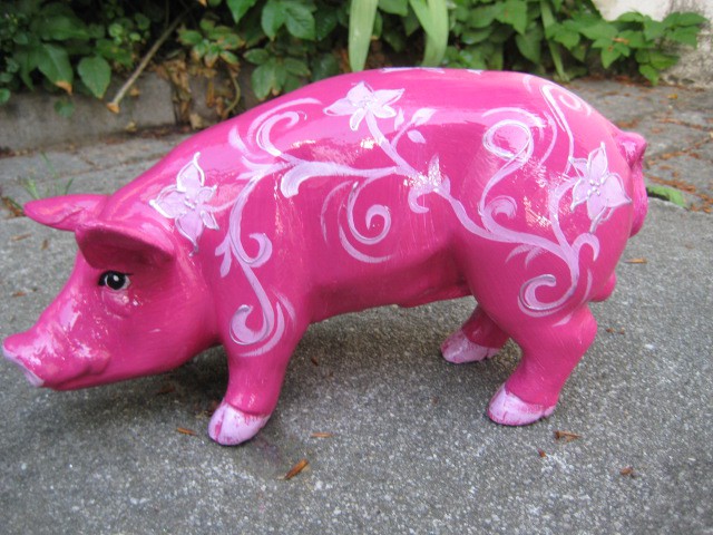 Mini-Schwein_367