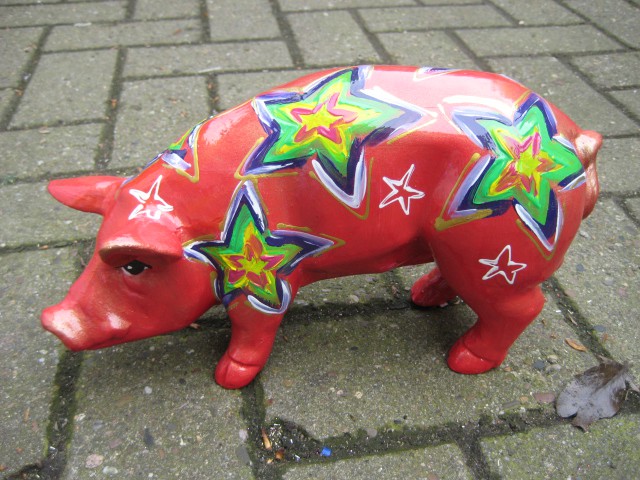 Mini-Schwein_372