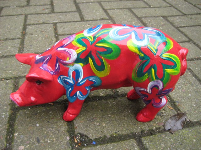 Mini-Schwein_375
