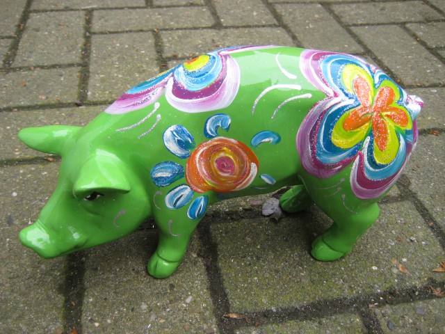 Mini-Schwein_376
