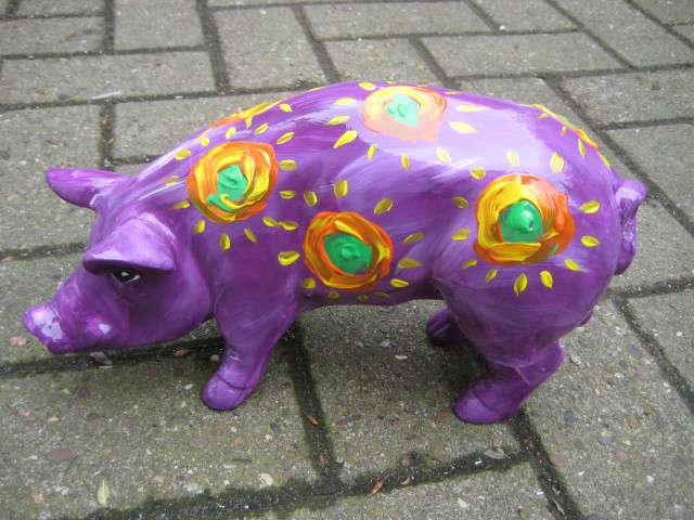 Mini-Schwein_382