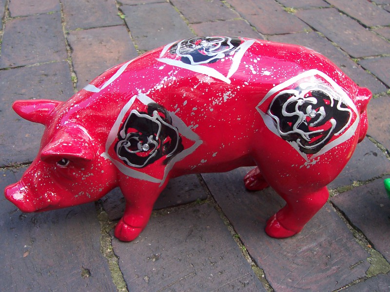 Mini-Schwein_386