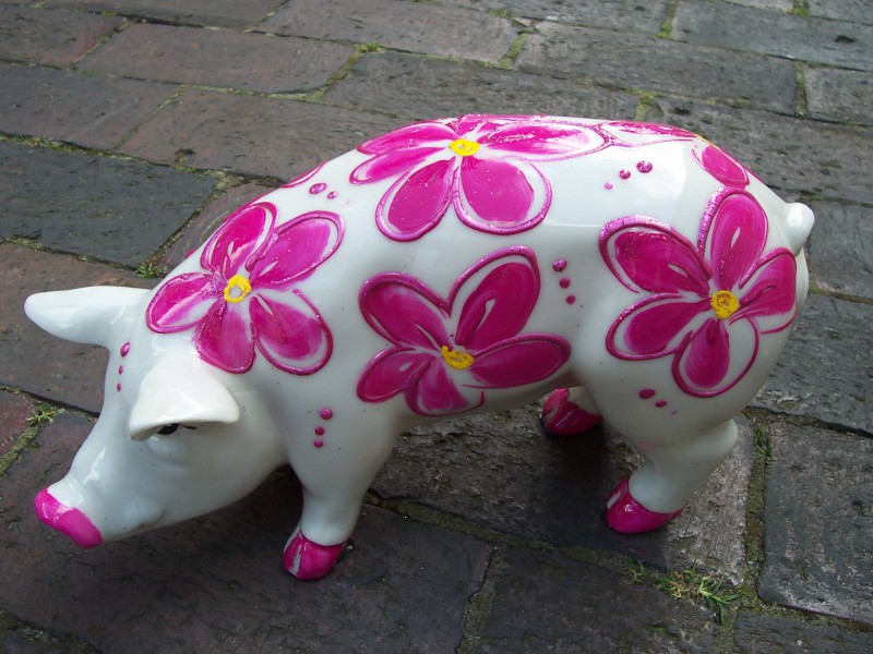 Mini-Schwein_391