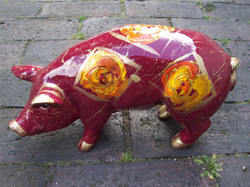 Mini-Schwein_392