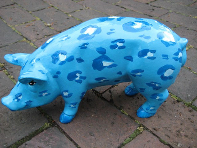 Mini-Schwein_399