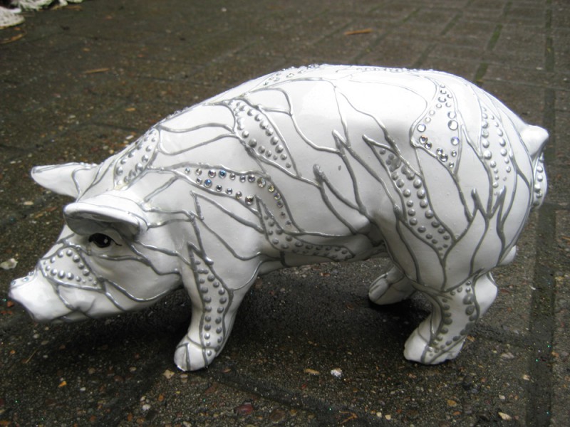 Mini-Schwein_4