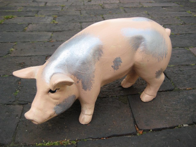 Mini-Schwein_401