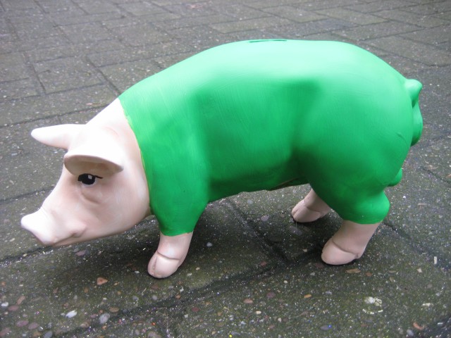 Mini-Schwein_403