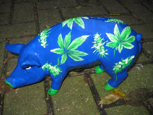 Mini-Schwein_405