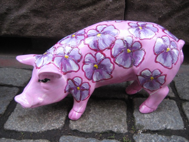Mini-Schwein_411