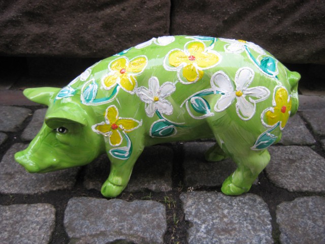 Mini-Schwein_412