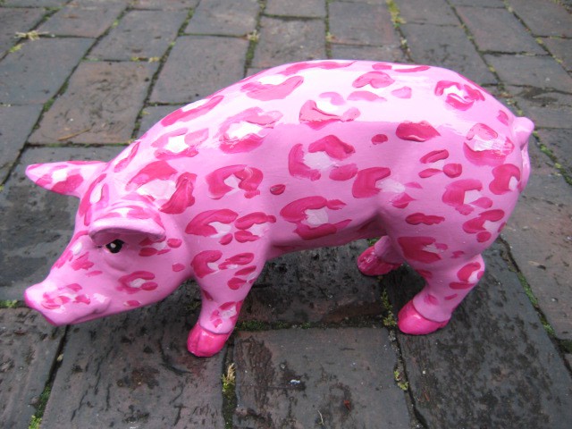 Mini-Schwein_420