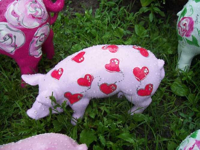 Mini-Schwein_424