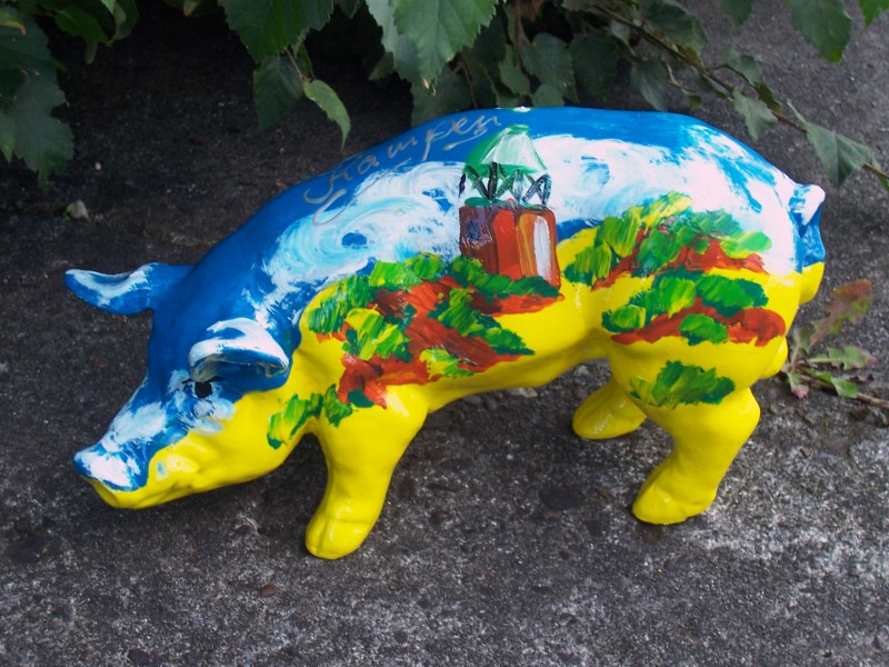 Mini-Schwein_43