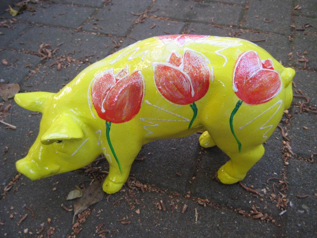 Mini-Schwein_435