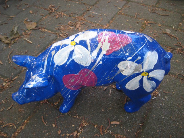 Mini-Schwein_436