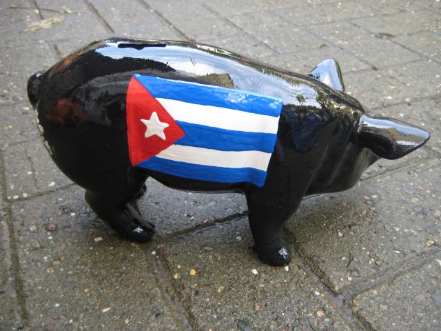 Mini-Schwein_437