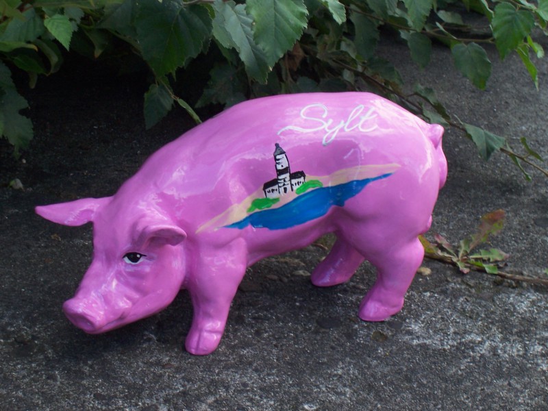 Mini-Schwein_44