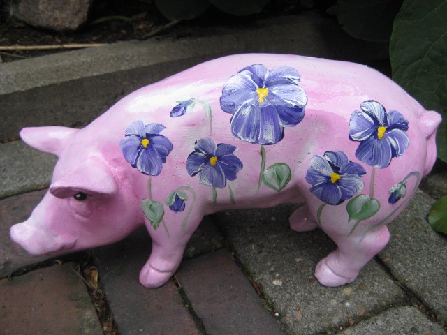 Mini-Schwein_440