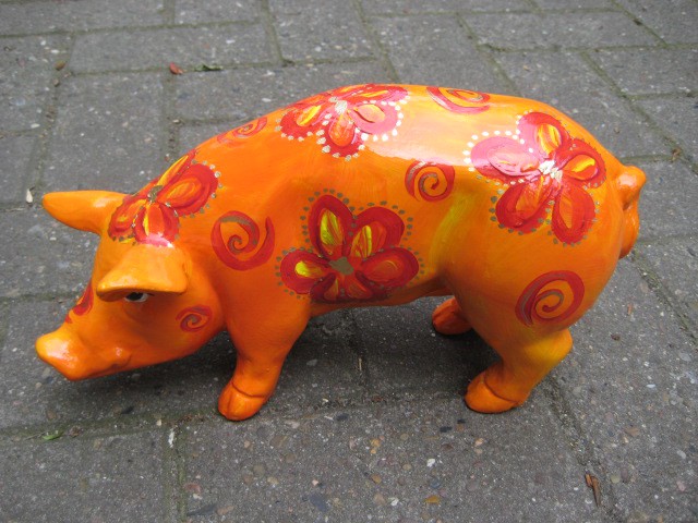 Mini-Schwein_446