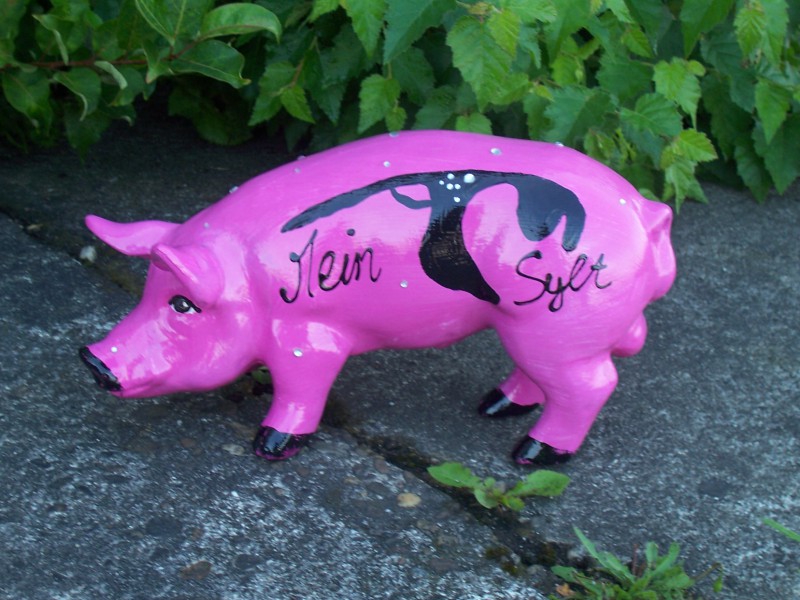 Mini-Schwein_45