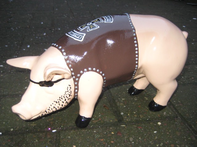 Mini-Schwein_459