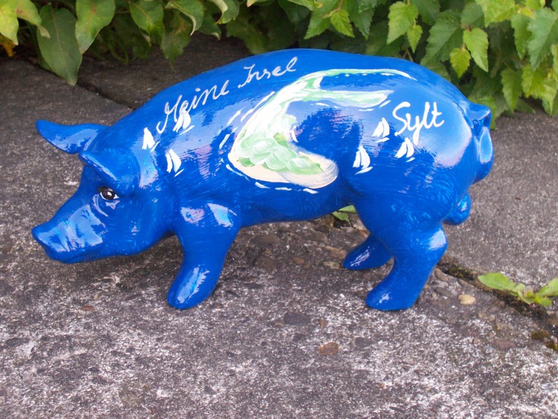 Mini-Schwein_46